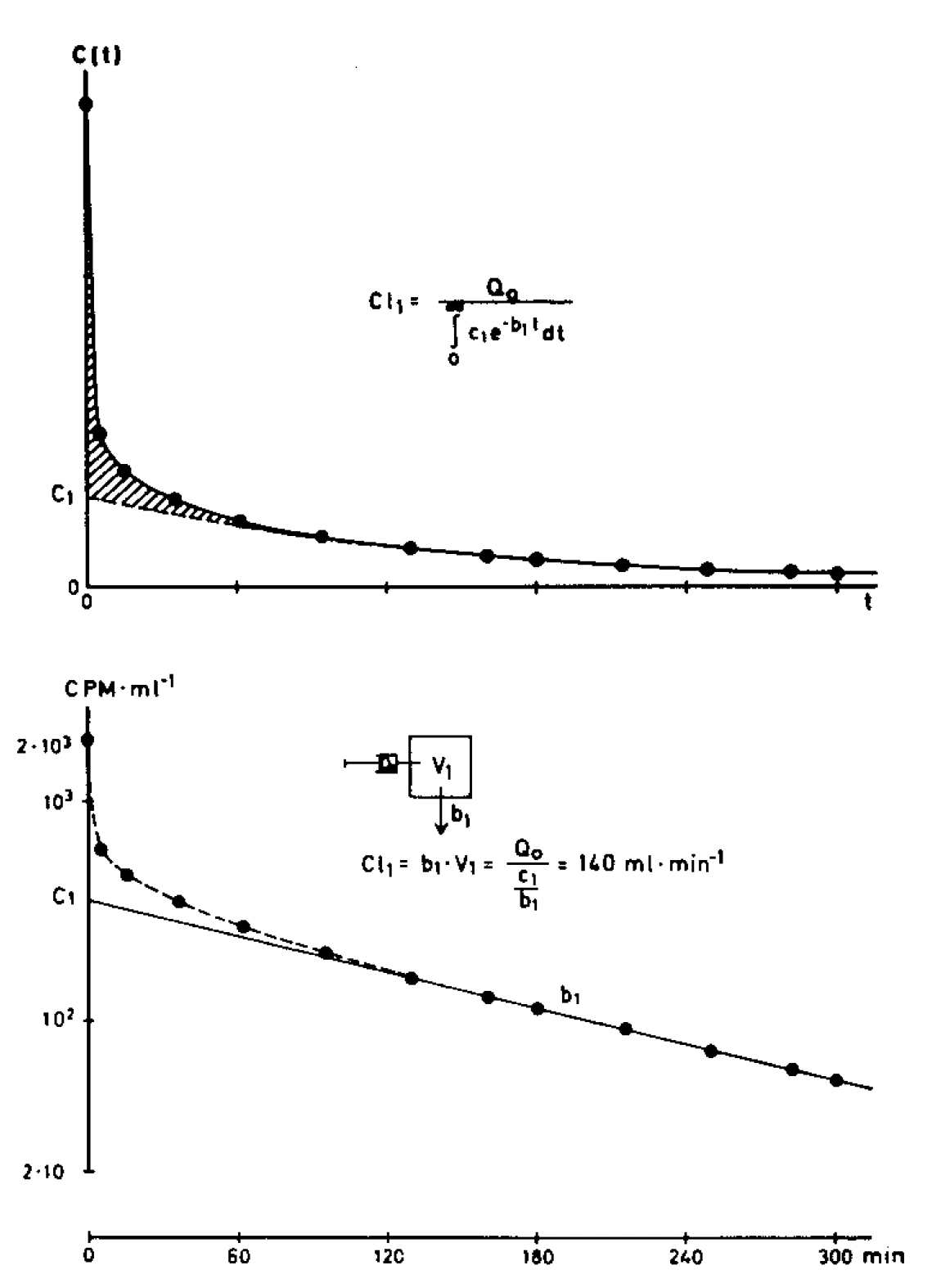 Figur 1 — plasmakurva och enkompartmentextrapolation