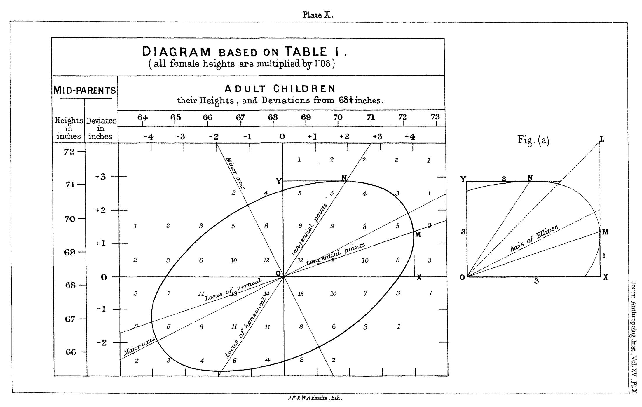 Galton 1886, Plate X — ellipsdiagram över föräldrars och barns längder